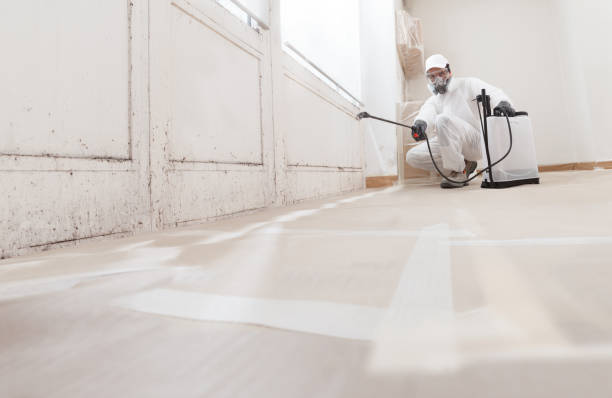 24/7 Emergency Black Mold Remediation experts in Marion, IL